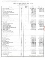 Báo cáo tài chính hợp nhất quý 3 năm 2013 - Công ty Cổ phần Đầu tư Phát triển Đô thị và Khu Công nghiệp Sông Đà