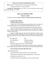 Báo cáo thường niên năm 2008 - Công ty Cổ phần Sách và Thiết bị trường học Quảng Ninh