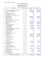 Báo cáo tài chính hợp nhất quý 2 năm 2011 - Công ty Cổ phần Tư vấn Sông Đà