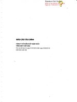 Báo cáo tài chính quý 2 năm 2015 (đã soát xét) - Công ty Cổ phần Xuất nhập khẩu Tổng hợp I Việt Nam