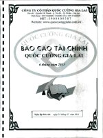 Báo cáo tài chính công ty mẹ quý 2 năm 2011 - Công ty Cổ phần Quốc Cường Gia Lai
