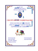 biện pháp nhằm nâng cao năng lực cạnh tranh của công ty xăng dầu nam tây nguyên trên địa bàn tỉnh đắk lắk (2) 