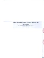 Báo cáo tài chính công ty mẹ năm 2015 (đã kiểm toán) - Công ty Cổ phần Đầu tư và Phát triển Sacom
