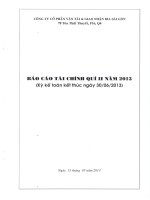 Báo cáo tài chính công ty mẹ quý 2 năm 2013 - Công ty Cổ phần Vận tải và Giao nhận bia Sài Gòn