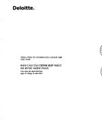 Báo cáo tài chính hợp nhất năm 2011 (đã kiểm toán) - Tổng Công ty cổ phần Xây lắp Dầu khí Việt Nam