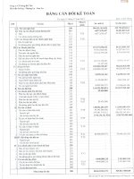 Báo cáo tài chính hợp nhất quý 4 năm 2012 - Công ty Cổ phần Sông Đà 7.04