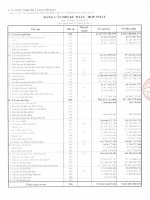 Báo cáo tài chính hợp nhất quý 4 năm 2012 - Công ty Cổ phần Đầu tư Phát triển Đô thị và Khu Công nghiệp Sông Đà