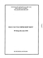 Báo cáo tài chính hợp nhất quý 3 năm 2010 - Tổng Công ty cổ phần Xây lắp Dầu khí Việt Nam