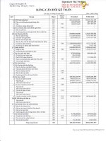 Báo cáo tài chính hợp nhất quý 1 năm 2013 - Công ty Cổ phần Sông Đà 7.04