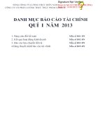 Báo cáo tài chính quý 1 năm 2013 - Công ty Cổ phần Lương thực Thực phẩm Safoco
