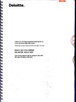 Báo cáo tài chính quý 2 năm 2015 (đã soát xét) - Công ty Cổ phần Kinh doanh Dịch vụ cao cấp Dầu khí Việt Nam