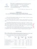 Nghị quyết Đại hội cổ đông thường niên năm 2010 - Tổng CTCP Bia - Rượu - Nước giải khát Sài Gòn