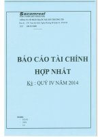 Báo cáo tài chính hợp nhất quý 4 năm 2014 - Công ty Cổ phần Địa ốc Sài Gòn Thương Tín