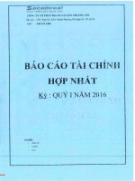 Báo cáo tài chính hợp nhất quý 1 năm 2016 - Công ty Cổ phần Địa ốc Sài Gòn Thương Tín