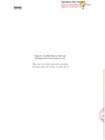 Báo cáo tài chính hợp nhất năm 2014 (đã kiểm toán) - Công ty Cổ phần Địa ốc Sài Gòn Thương Tín