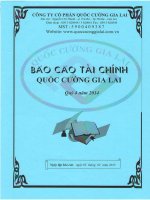 Báo cáo tài chính công ty mẹ quý 4 năm 2014 - Công ty Cổ phần Quốc Cường Gia Lai