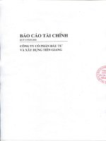 Báo cáo tài chính công ty mẹ quý 1 năm 2016 - Công ty Cổ phần Đầu tư và Xây dựng Tiền Giang