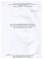 Báo cáo tài chính năm 2008 (đã kiểm toán) - Công ty cổ phần Kỹ thuật Điện Sông Đà