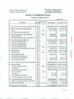 Báo cáo tài chính quý 1 năm 2012 - Công ty Cổ phần Xi măng Sài Sơn