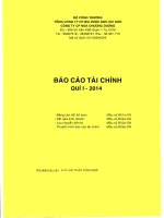 Báo cáo tài chính quý 1 năm 2014 - Công ty Cổ phần Nước giải khát Chương Dương
