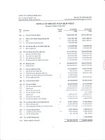 Báo cáo tài chính quý 4 năm 2014 - Công ty Cổ phần Sông Đà 2