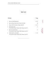 Báo cáo tài chính quý 2 năm 2013 (đã soát xét) - Công ty Cổ phần Nhiên liệu Sài Gòn