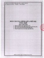 Báo cáo tài chính quý 1 năm 2016 - Công ty Cổ phần Bia Sài Gòn - Miền Trung