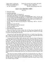 Báo cáo thường niên năm 2013 - Công ty Cổ phần Sông Đà 10