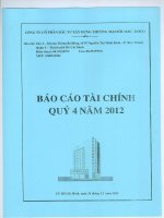 Báo cáo tài chính quý 4 năm 2012 - Công ty cổ phần Đầu tư Xây dựng Thương mại Dầu khí-IDICO