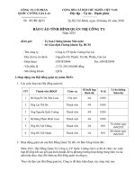 Báo cáo tình hình quản trị công ty - Công ty Cổ phần Quốc Cường Gia Lai