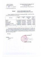 Báo cáo tài chính hợp nhất quý 2 năm 2012 - Công ty Cổ phần Đại lý Vận tải SAFI