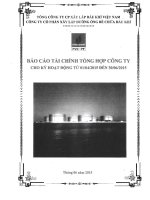 Báo cáo tài chính quý 2 năm 2015 - Công ty Cổ phần Xây lắp Đường ống Bể chứa Dầu khí