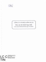 Báo cáo tài chính hợp nhất năm 2014 (đã kiểm toán) - Công ty Cổ phần Sông Đà 10