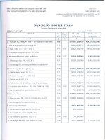 Báo cáo tài chính quý 2 năm 2010 - Công ty Cổ phần Xây lắp Đường ống Bể chứa Dầu khí