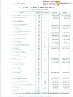 Báo cáo tài chính hợp nhất quý 4 năm 2013 - Công ty Cổ phần Sông Đà 19