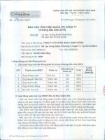 Báo cáo tình hình quản trị công ty - Công ty Cổ phần Nhựa Rạng Đông