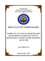 Nghiên cứu các yếu tố ảnh hưởng đến quyết định lựa chọn mua sắm của khách hàng cá nhân tại siêu thị sepon, quảng trị 