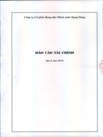 Báo cáo tài chính quý 2 năm 2014 - Công ty Cổ phần Bóng đèn Phích nước Rạng Đông