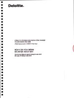 Báo cáo tài chính quý 2 năm 2015 (đã soát xét) - Công ty Cổ phần Xây dựng công nghiệp và dân dụng Dầu khí