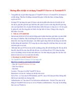 Hướng dẫn cài đặt và sử dụng VisualSVN server và TortoiseSVN