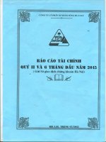 Báo cáo tài chính quý 2 năm 2015 - Công ty Cổ phần Xi măng Sông Đà Yaly