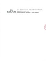 Báo cáo tài chính hợp nhất quý 2 năm 2014 (đã soát xét) - Tổng CTCP Bia - Rượu - Nước giải khát Sài Gòn