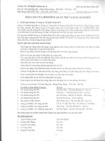 Báo cáo tài chính công ty mẹ năm 2008 (đã kiểm toán) - Công ty Cổ phần Sông Đà 9