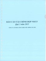 Báo cáo tài chính hợp nhất quý 2 năm 2015 - Công ty Cổ phần Công nghệ Viễn thông Sài Gòn