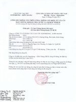 Báo cáo tài chính quý 1 năm 2015 - Công ty Cổ phần Tàu cao tốc Superdong – Kiên Giang