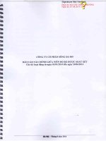 Báo cáo tài chính quý 2 năm 2014 (đã soát xét) - Công ty Cổ phần SCI