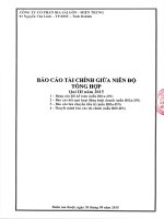 Báo cáo tài chính quý 3 năm 2015 - Công ty Cổ phần Bia Sài Gòn - Miền Trung