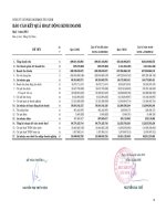 Báo cáo KQKD quý 1 năm 2013 - Công ty cổ phần Mía đường Thành Thành Công Tây Ninh