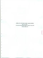 Báo cáo tài chính năm 2015 (đã kiểm toán) - Công ty Cổ phần Nhựa Rạng Đông