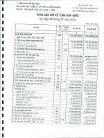 Báo cáo tài chính hợp nhất quý 2 năm 2010 - Công ty Cổ phần Hợp tác kinh tế và Xuất nhập khẩu SAVIMEX